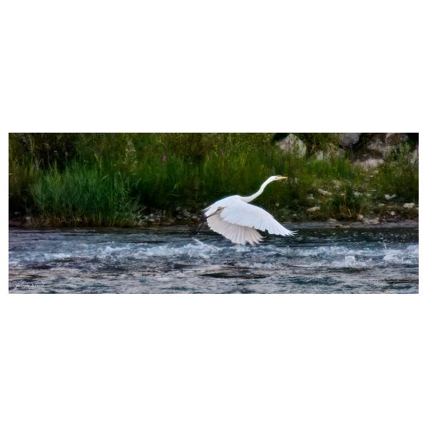 PHOTO84, CLUB, 84 , LUBERON